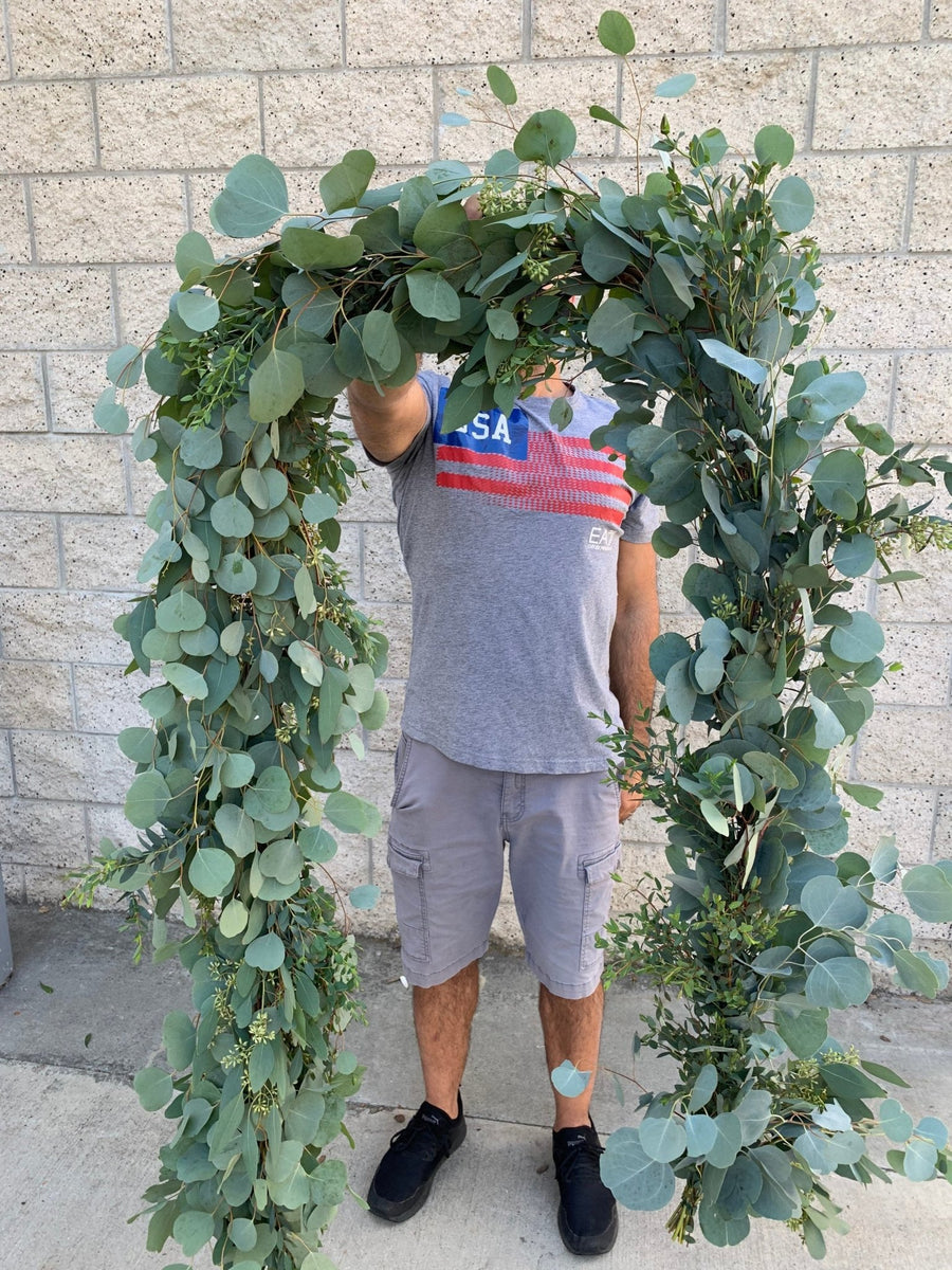 live hanging eucalyptus plant Fresh Eucalyptus Garland // Natural Silver Dollar & Seeded Eucalyptus – CaliforniaFlowerGrowers.com